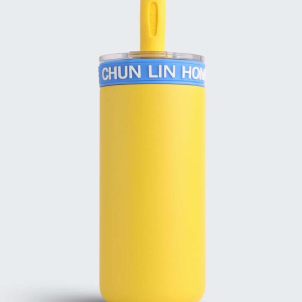 Glass Straw Bottle 550ML Premium Water Bottle